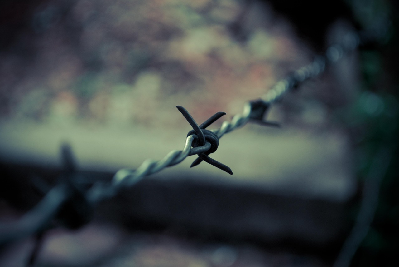 散場(chǎng)電影,人生的另一種感悟與告別時(shí)刻