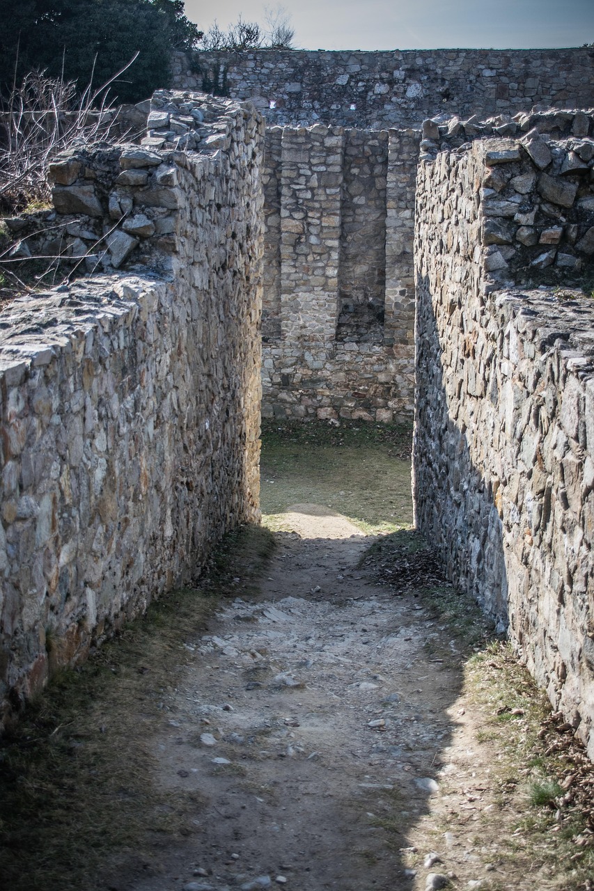 最新祖墳圖，揭示家族歷史，傳承力量與榮耀的印記