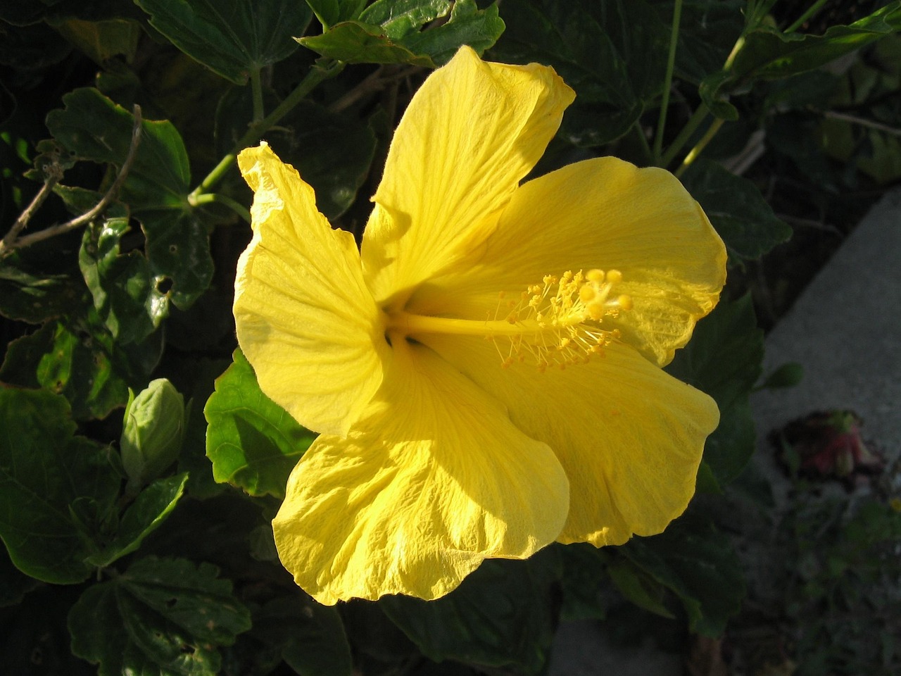 今日新鮮資訊概覽,快速了解最新動態(tài)與新聞熱點(diǎn)