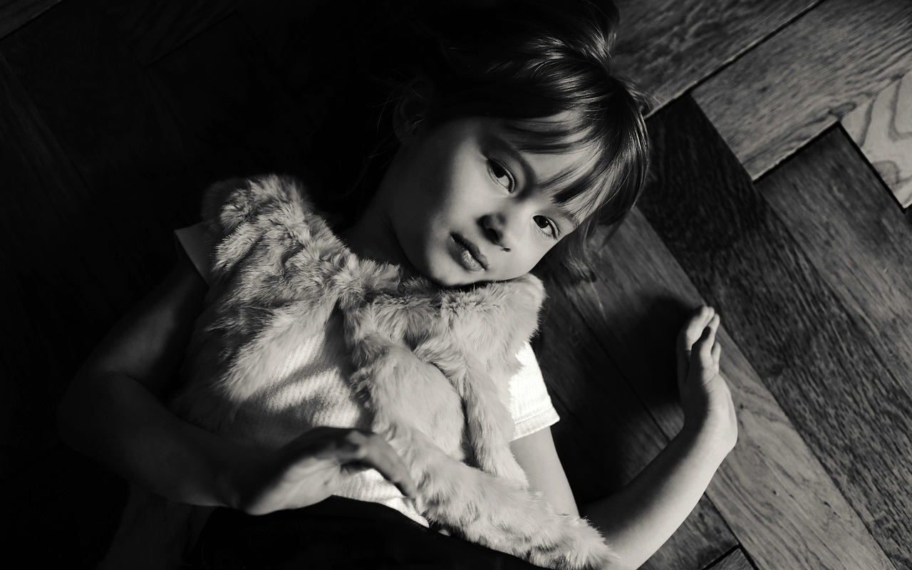 迷霧中的真相，最新驚悚懸疑探索