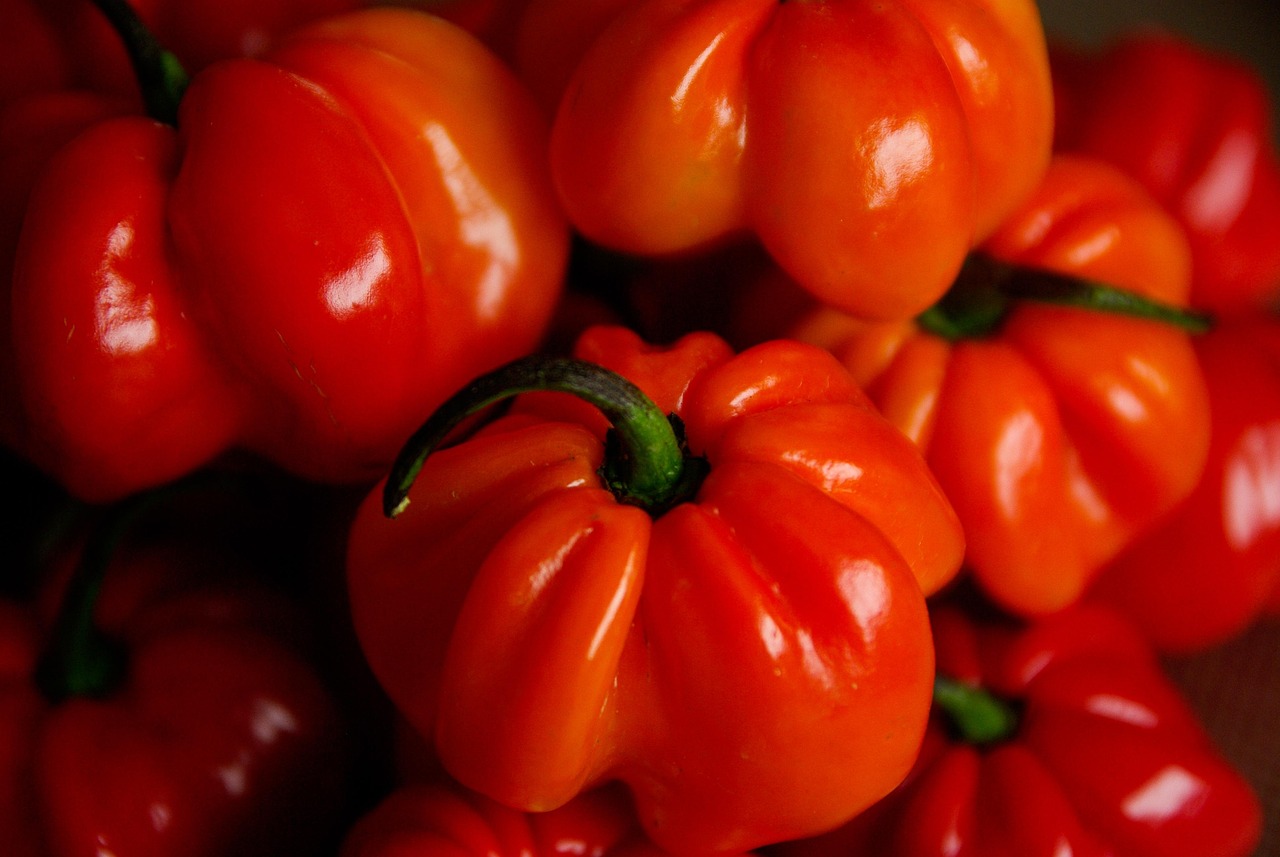 特朗普最新動態(tài),重塑美國,全球矚目焦點