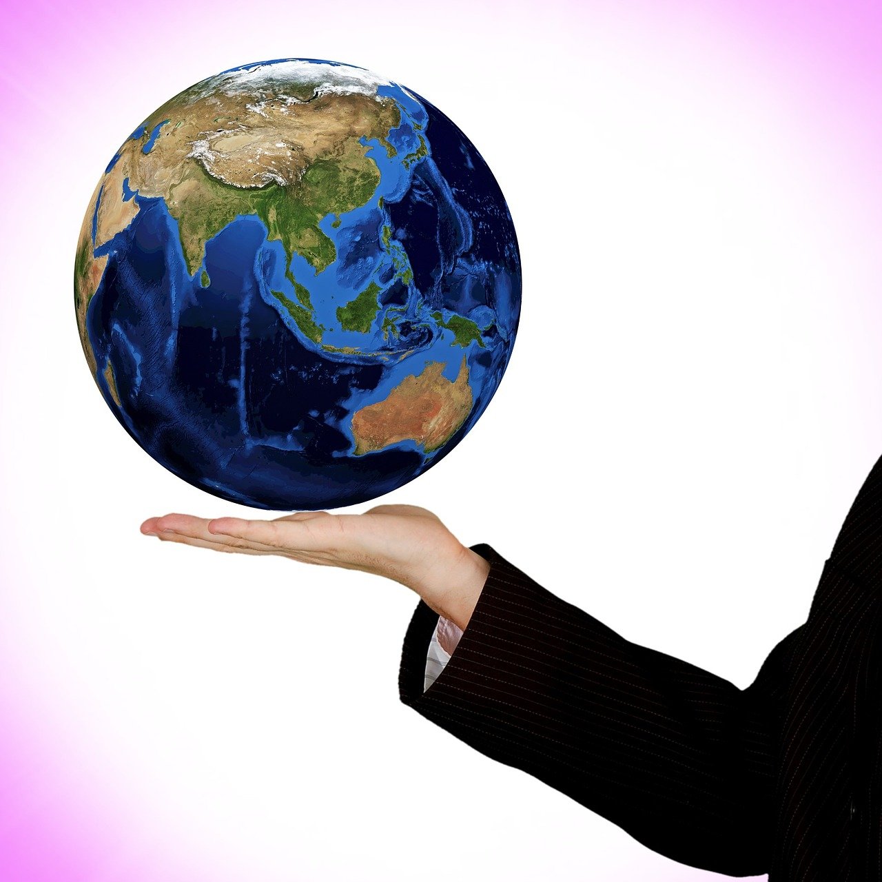 花螺價格分析與市場波動影響因素探討