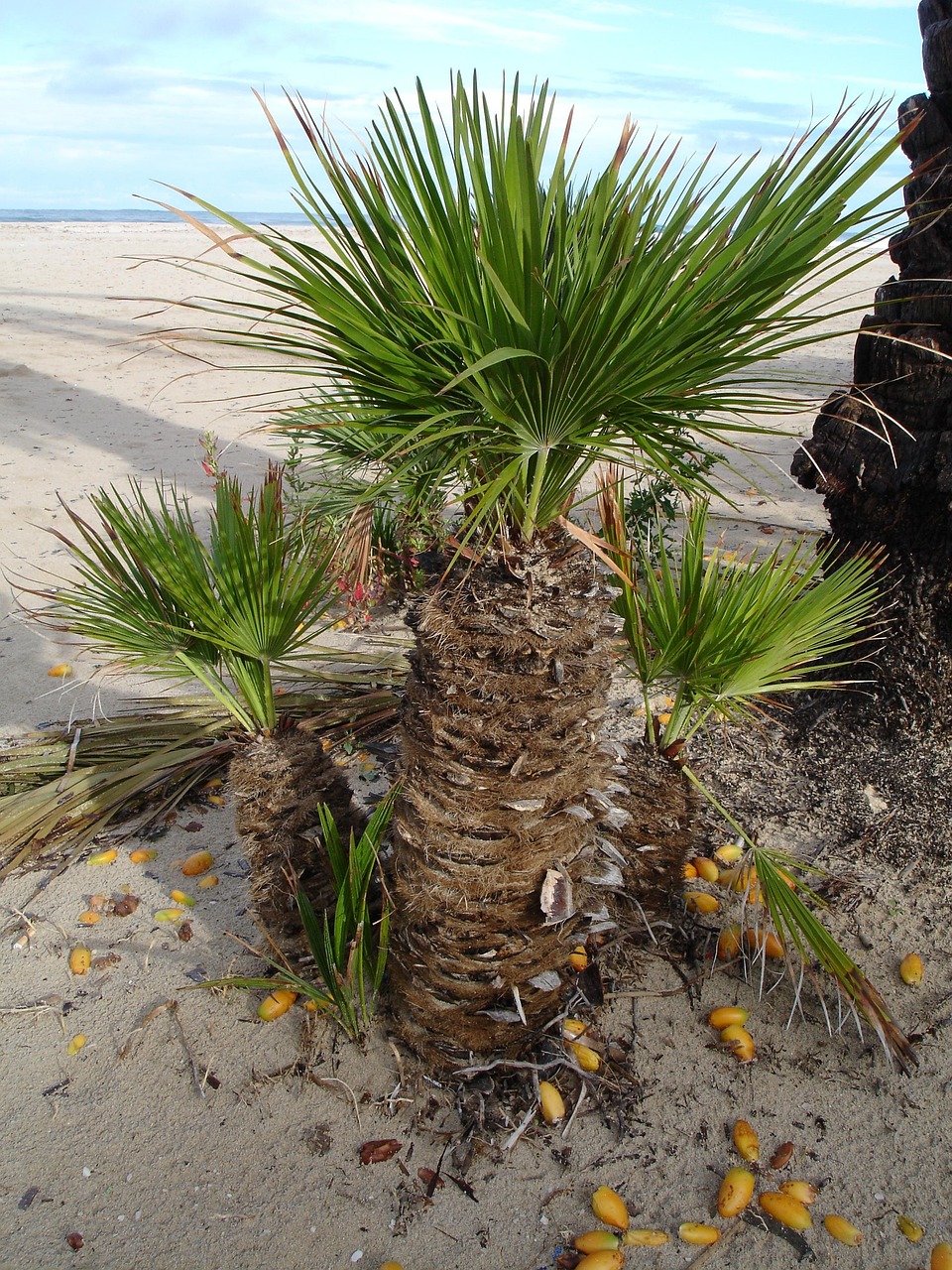 蘄春招標(biāo)公告詳解及最新動態(tài)分析