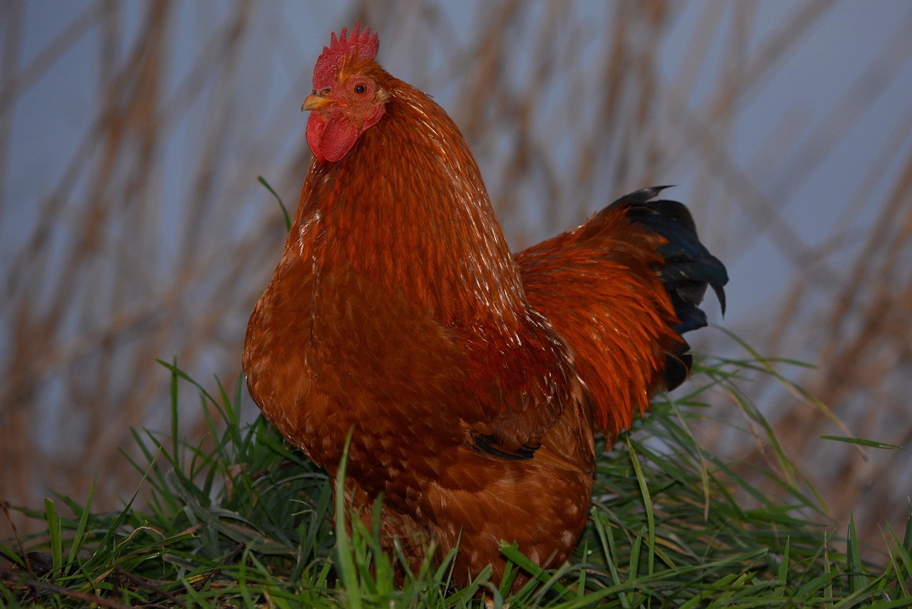 山體滑坡最新動態(tài),監(jiān)測、預警與應對策略的最新進展
