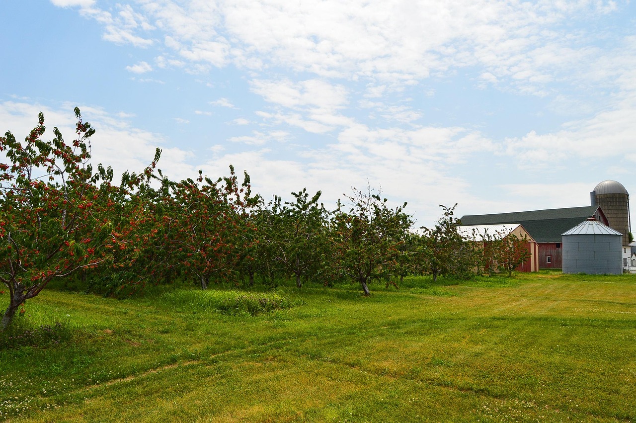 東莞最新疫情動(dòng)態(tài)，全面防控，保障市民健康安全