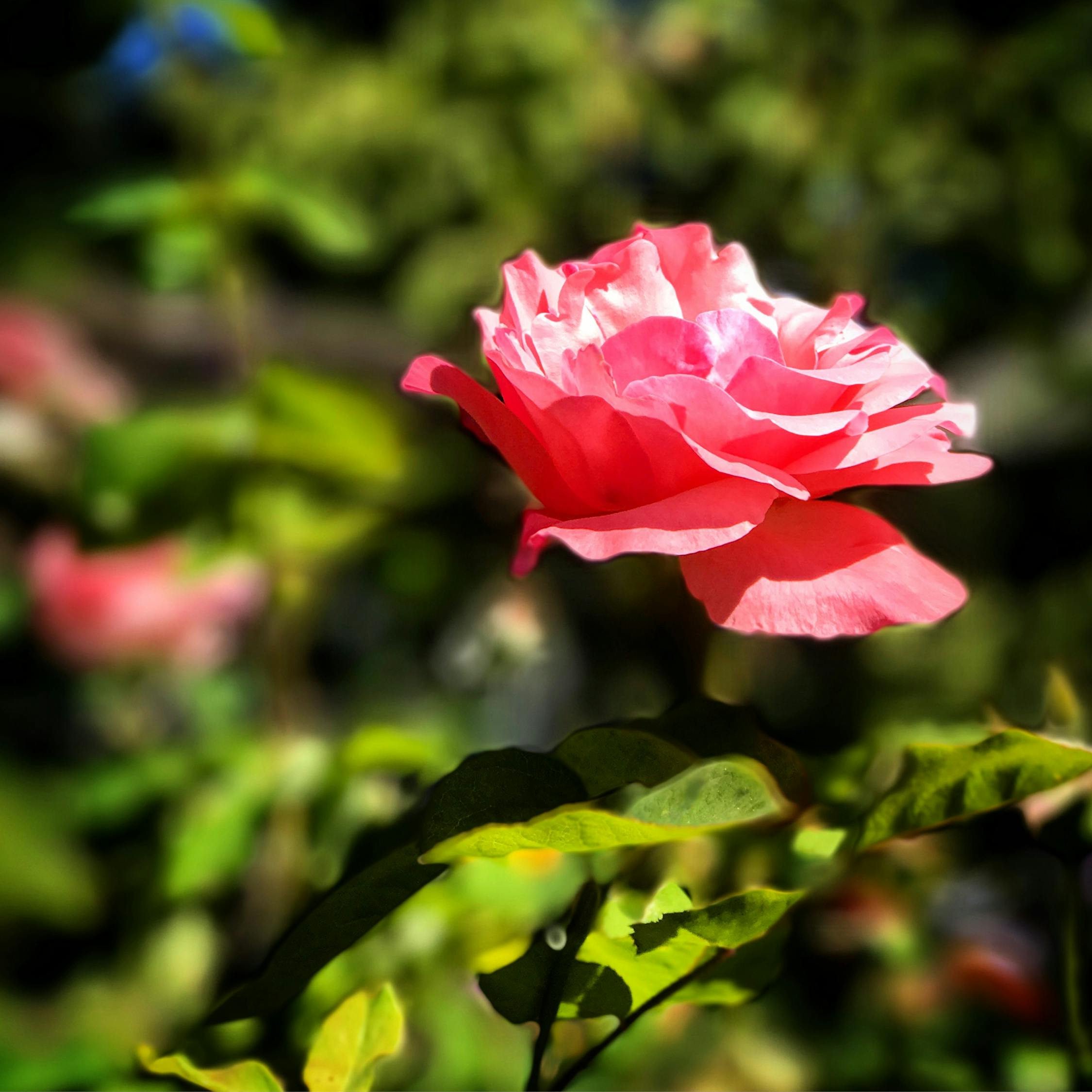 李易峰最新動(dòng)態(tài),明星風(fēng)采持續(xù)閃耀