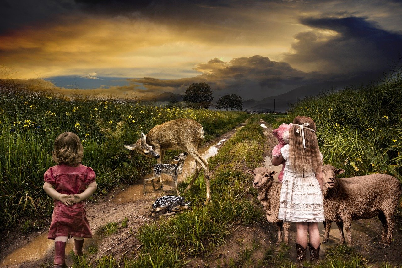 最新溫馨全文閱讀小說,情感世界的探索之旅