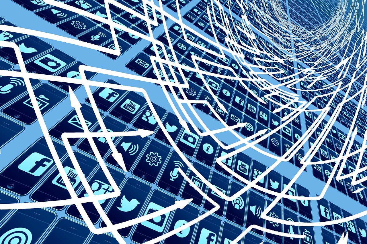 十公分紫薇價格走勢,市場動態(tài)聚焦