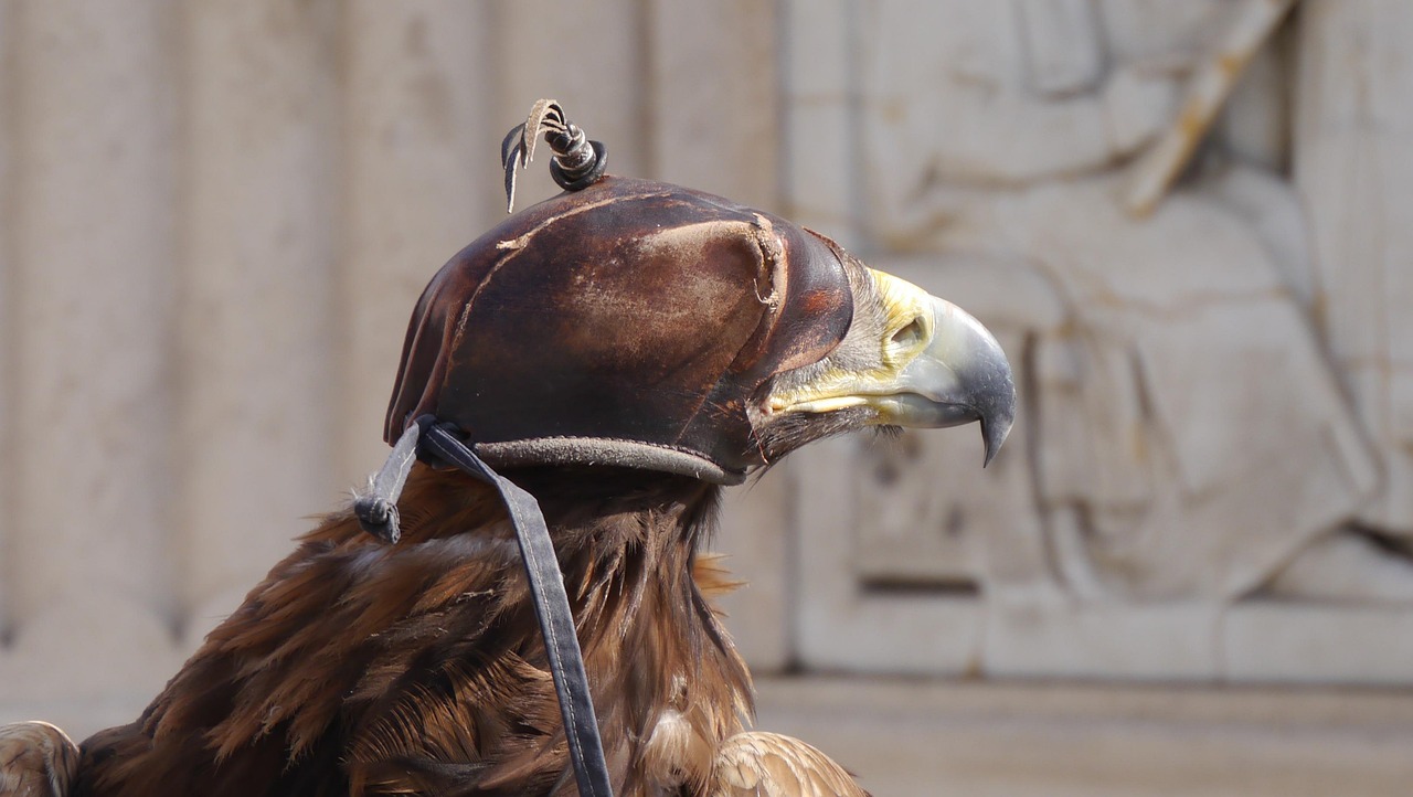 經(jīng)典電影的永恒魅力與深刻印記