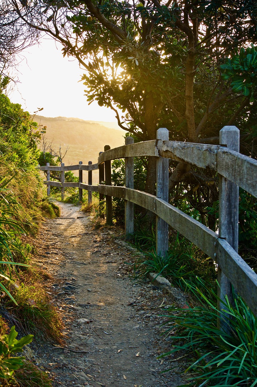 張家界玻璃橋最新影像，自然與科技的完美融合透視視頻欣賞