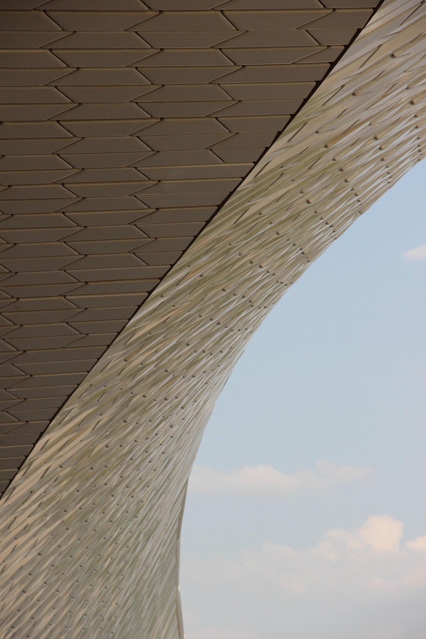 武湖最新動態(tài),生態(tài)發(fā)展、城市規(guī)劃與未來展望