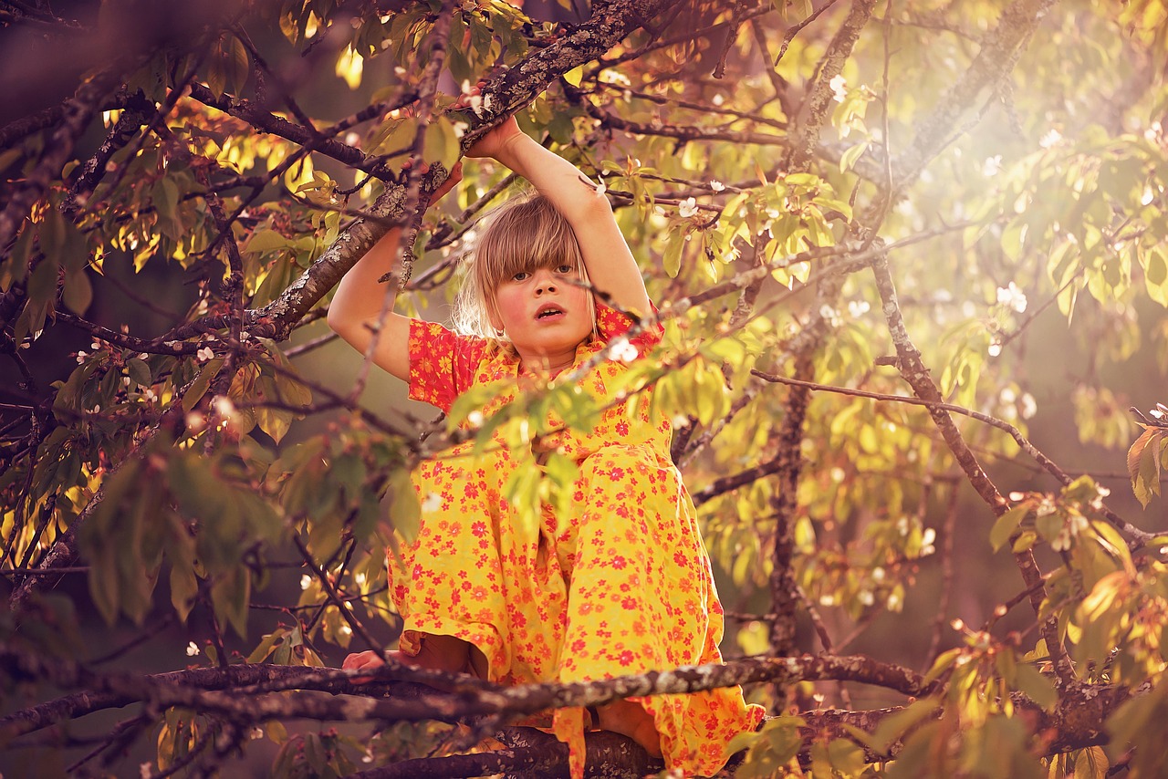 李好最新小說田園女發(fā)布,深度解讀鄉(xiāng)村生活之美