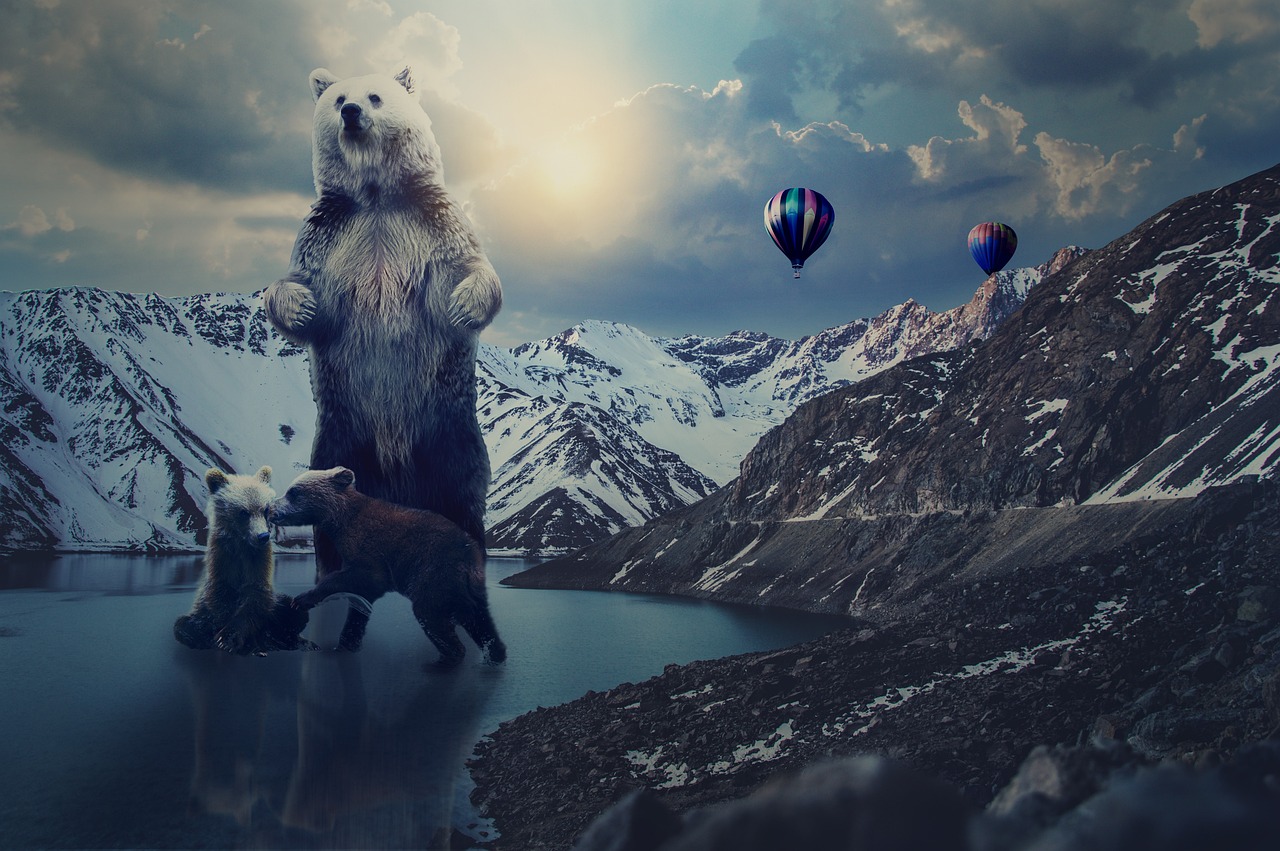 全民戰(zhàn)士最新版下載,探索與體驗之旅