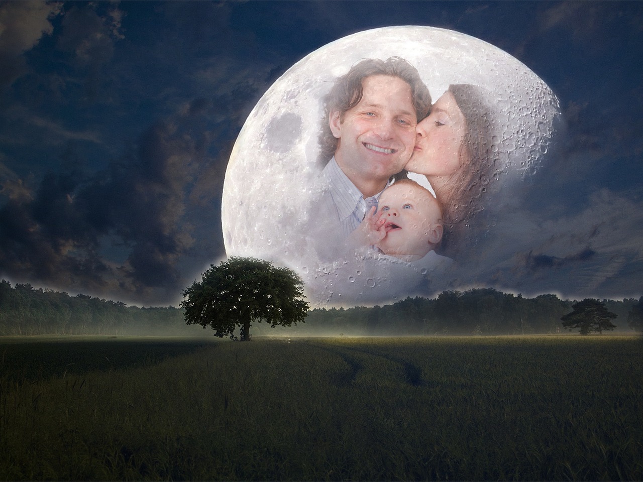 豪門夜宴演員，星光璀璨下的故事之夜