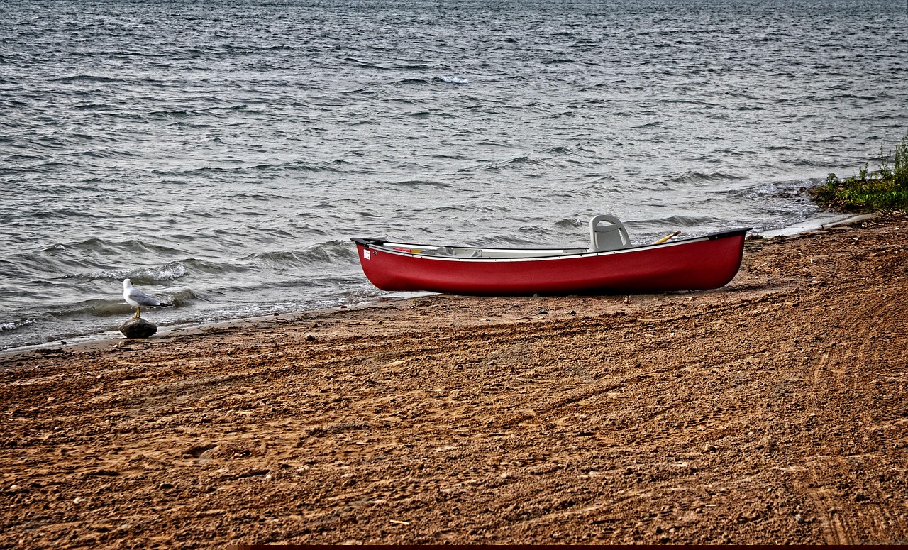 一個像夏天 第36頁