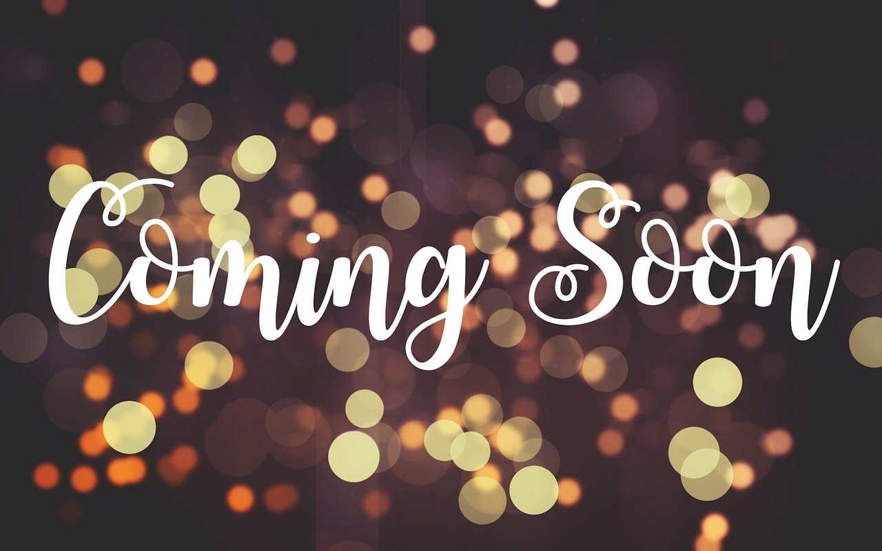 鄧鴻最新消息與動態(tài)更新