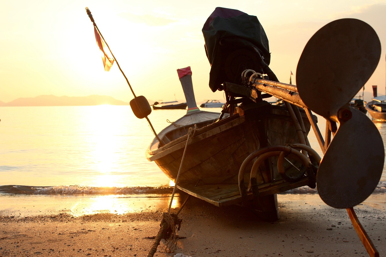 音樂與情感的海洋之旅，海上鋼琴師電影免費觀看