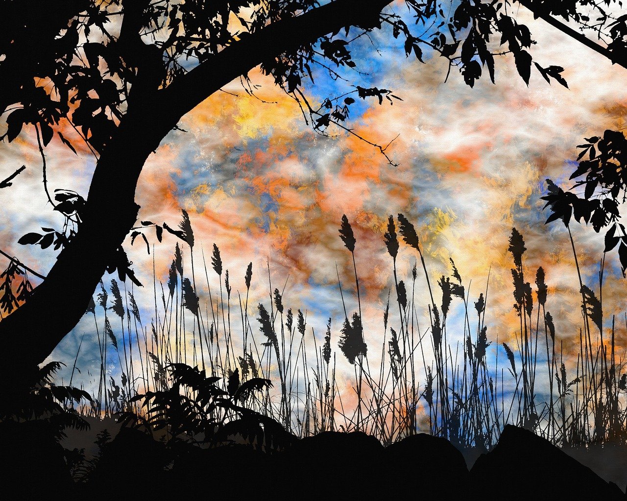 最新電影理論解讀，探索電影藝術(shù)的深層次內(nèi)涵