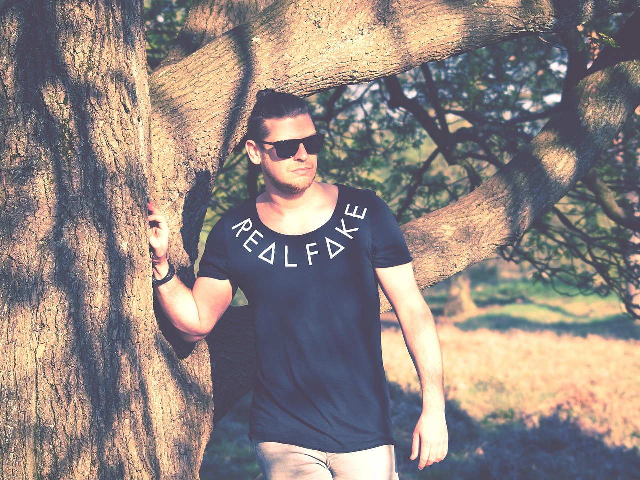 男明星在國(guó)內(nèi)娛樂(lè)圈的崛起及影響力探究