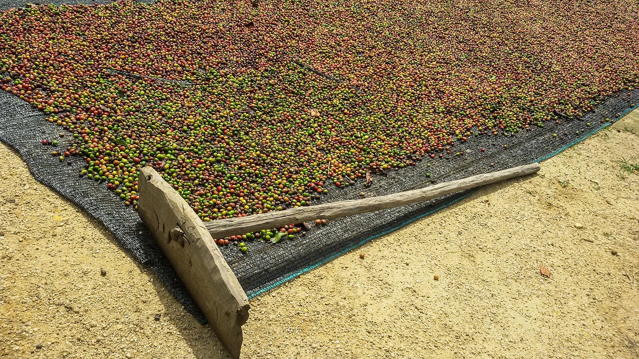 最新農(nóng)業(yè)機(jī)械,推動(dòng)農(nóng)業(yè)現(xiàn)代化進(jìn)程的核心引擎