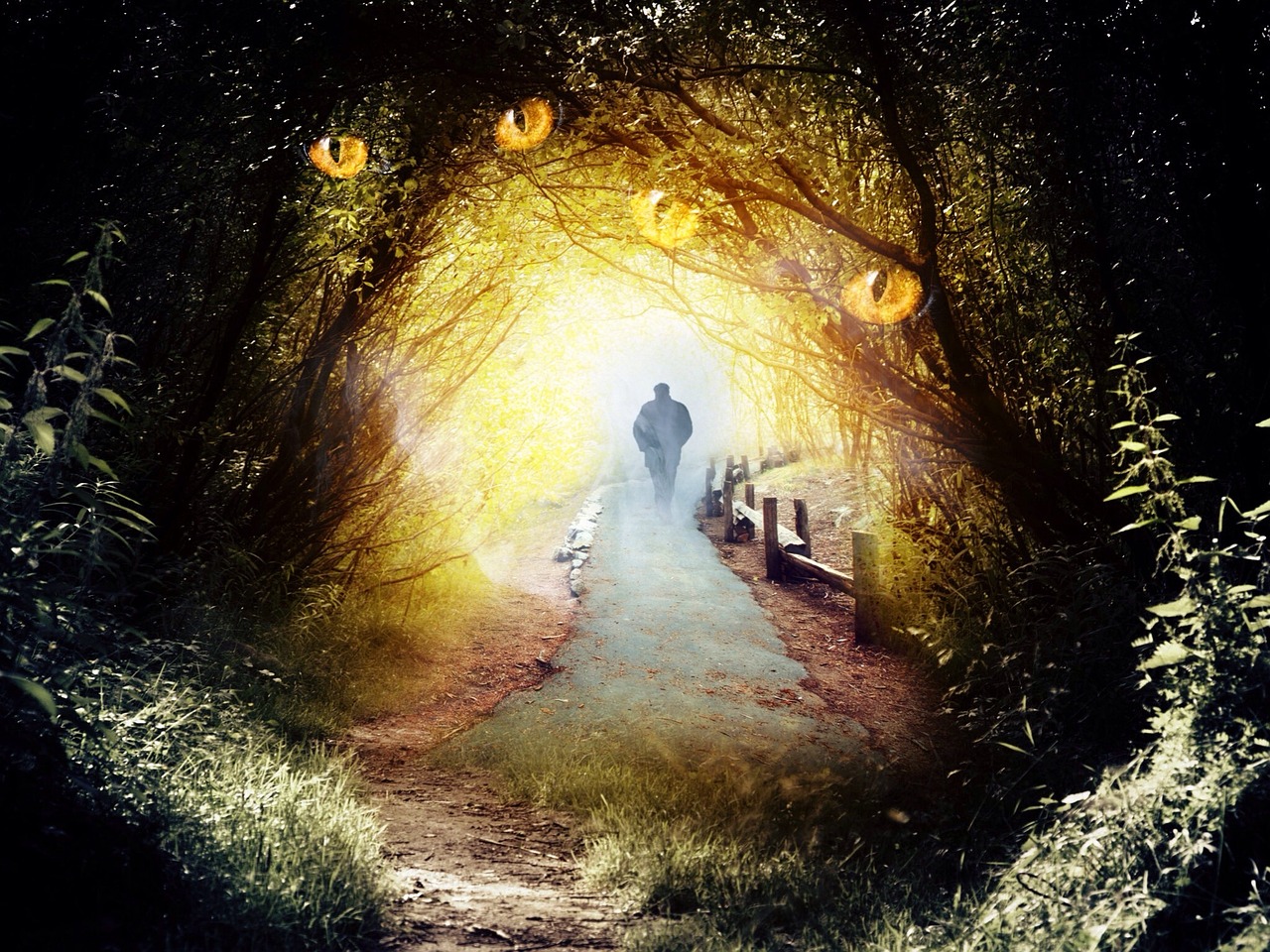 陳揚新作章節(jié),探索未知的藝術(shù)之旅奇妙啟航