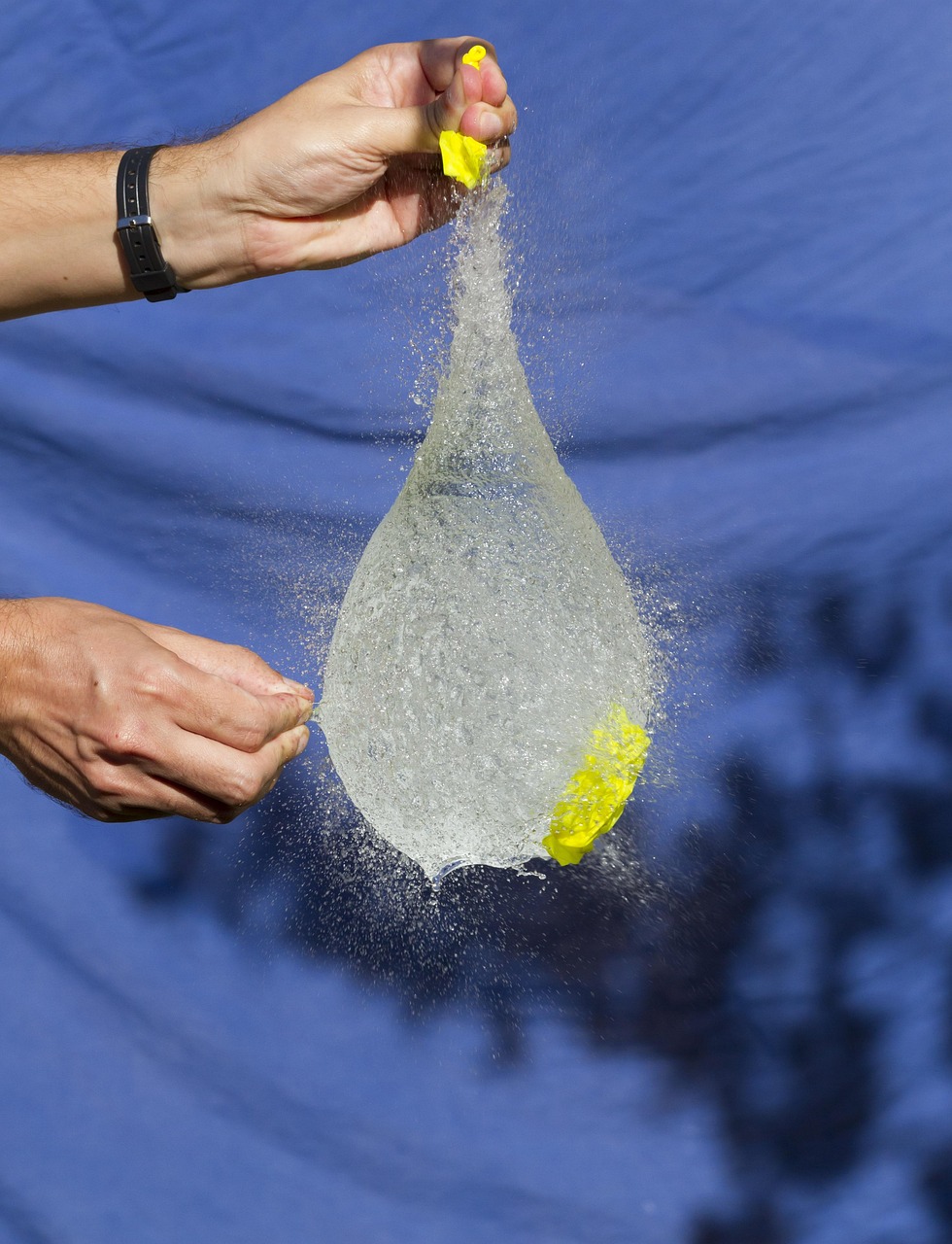 甬金高速最新動態(tài),邁向高效便捷的未來之路