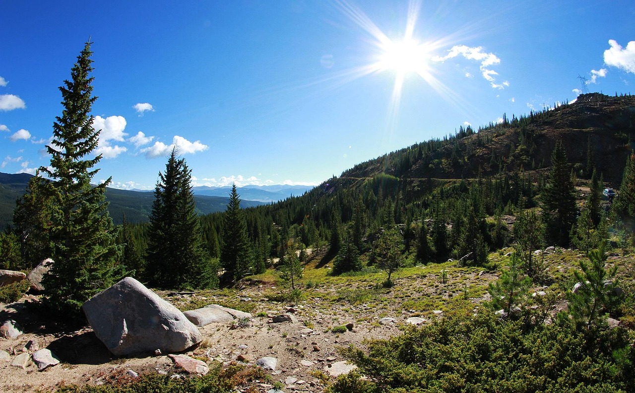 2017年天意搬遷最新動態(tài)，轉(zhuǎn)型、升級與持續(xù)發(fā)展的探索之旅