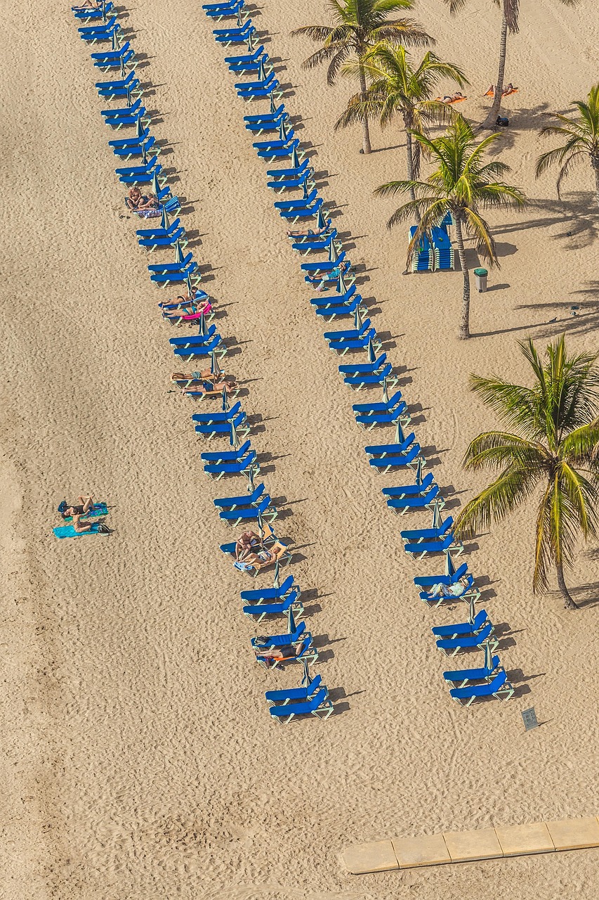 饑餓鯊世界最新破解版下載攻略，體驗(yàn)分享與下載指南