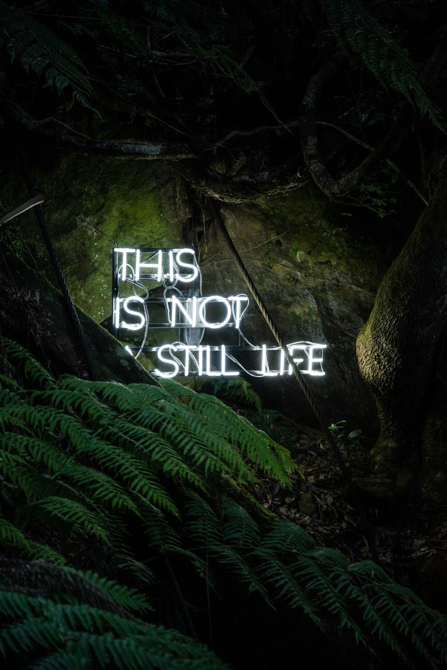 大千主宰，神秘世界的探索之旅章節(jié)目錄