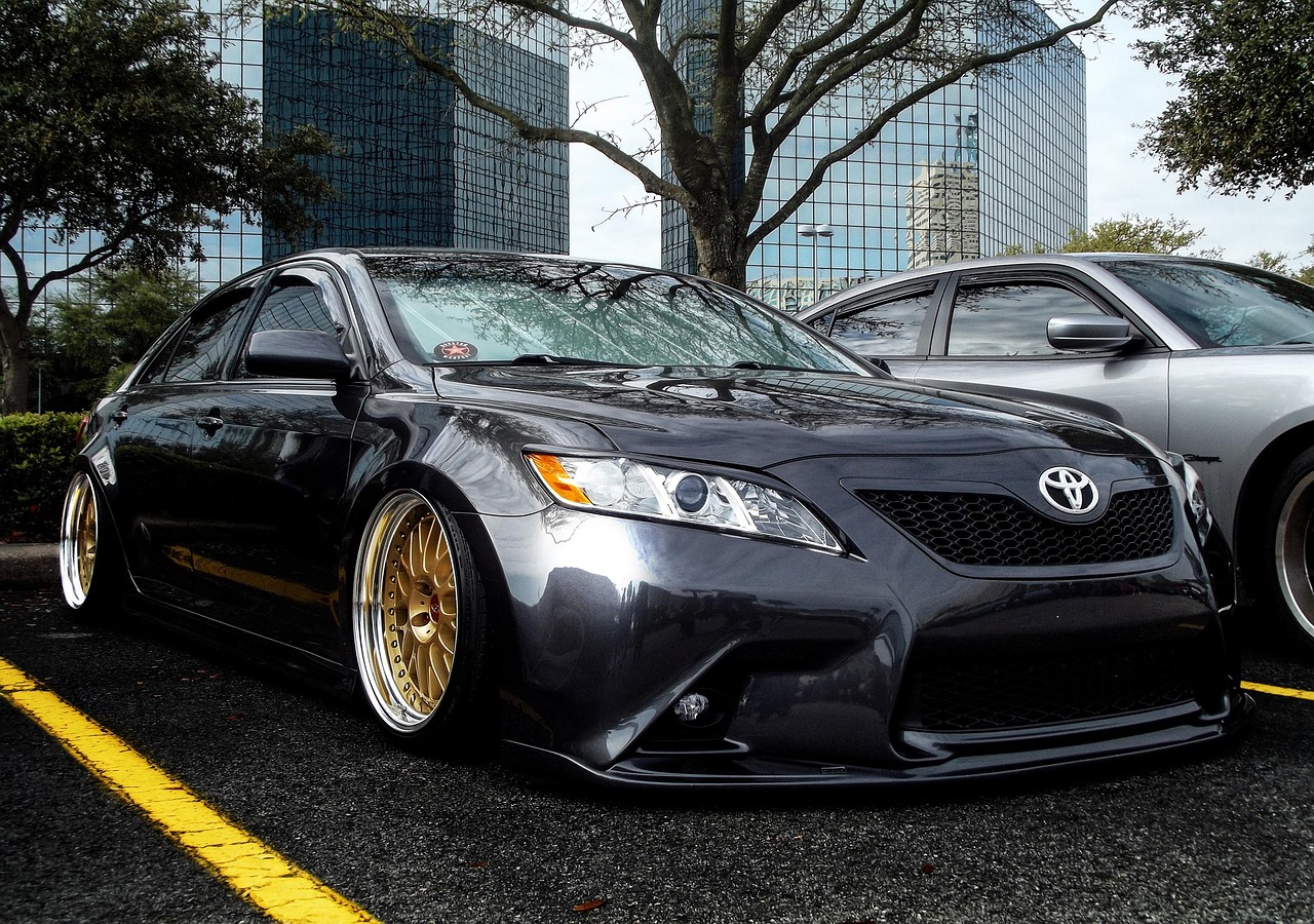 陳友熙微博動態(tài)，個人魅力與公眾影響力的交織展現(xiàn)