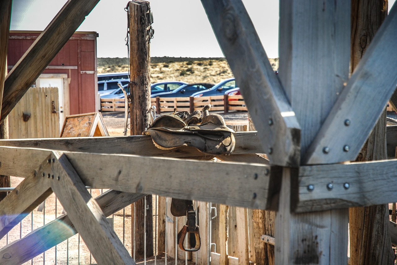 徐連高鐵招標(biāo)信息詳解及最新動態(tài)分析