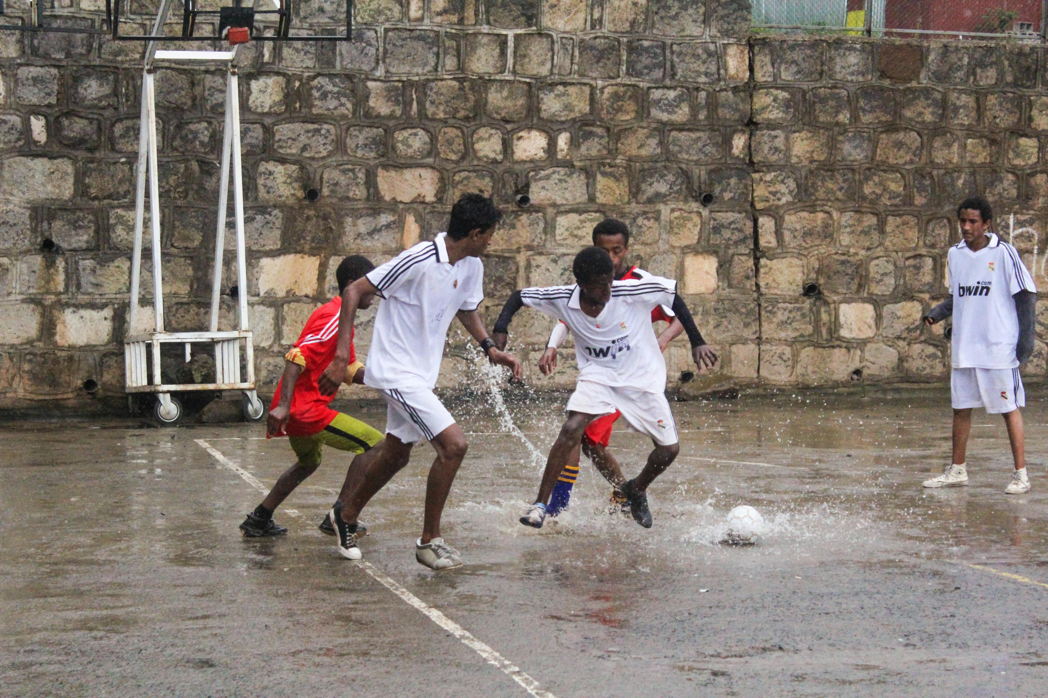 廣西斗牛比賽,傳統(tǒng)與激情的激烈碰撞