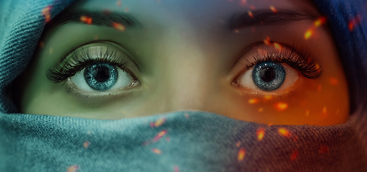 南非蝗蟲災害最新動態(tài)，挑戰(zhàn)、應對策略及進展