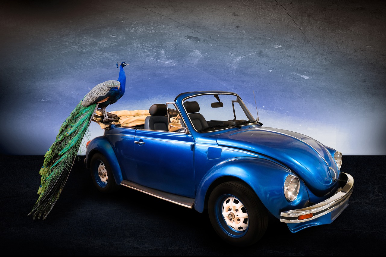 上海大眾車型價格及圖片全面概覽