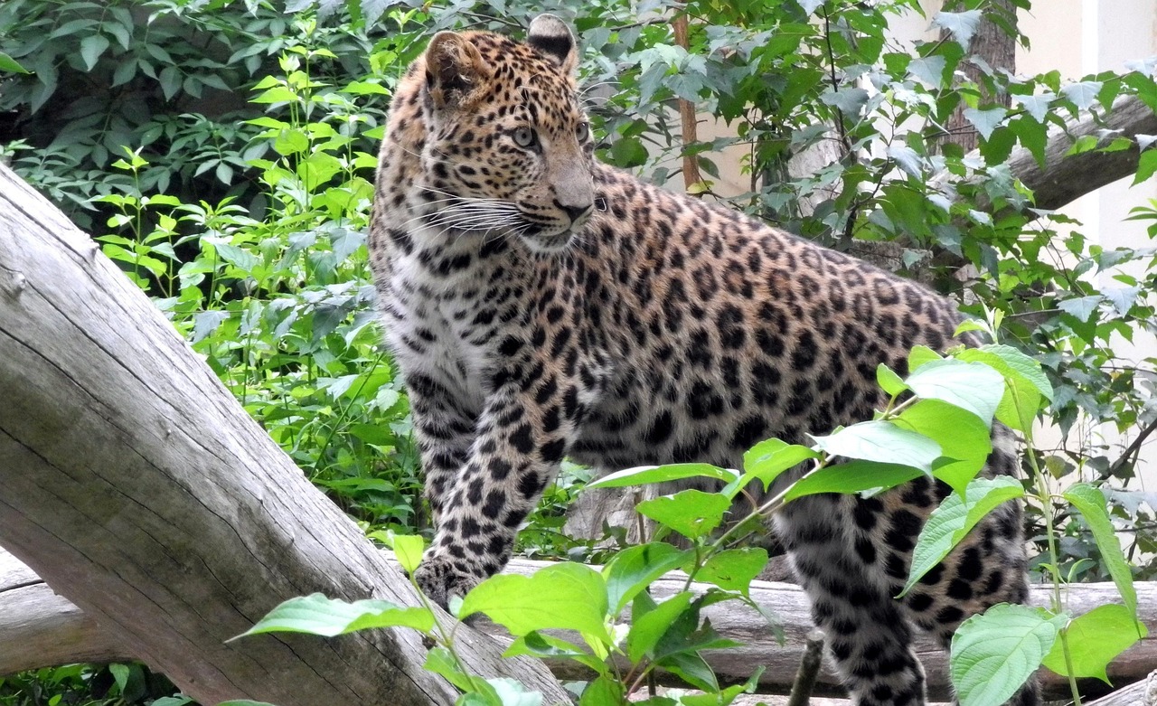 2025年3月 第4頁(yè)