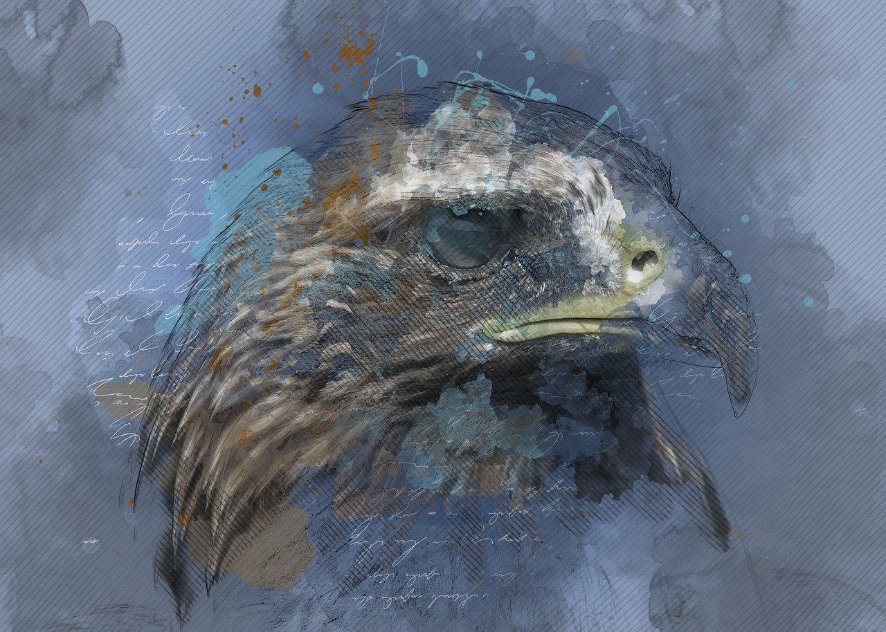 自然獵手的瞬間魅力,最新蒼鷹捕獵精彩畫(huà)面揭秘