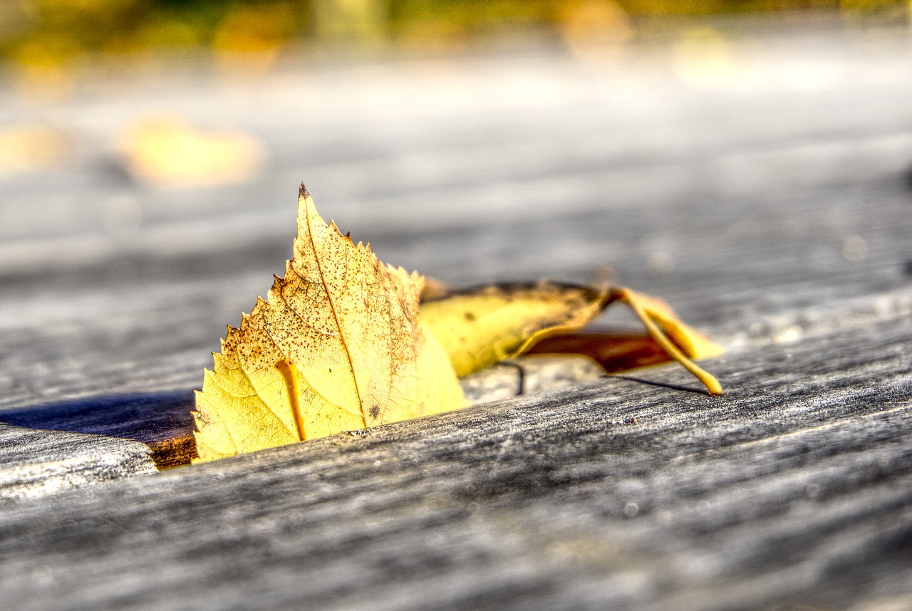 高斯貝爾股票最新動態(tài)與分析摘要