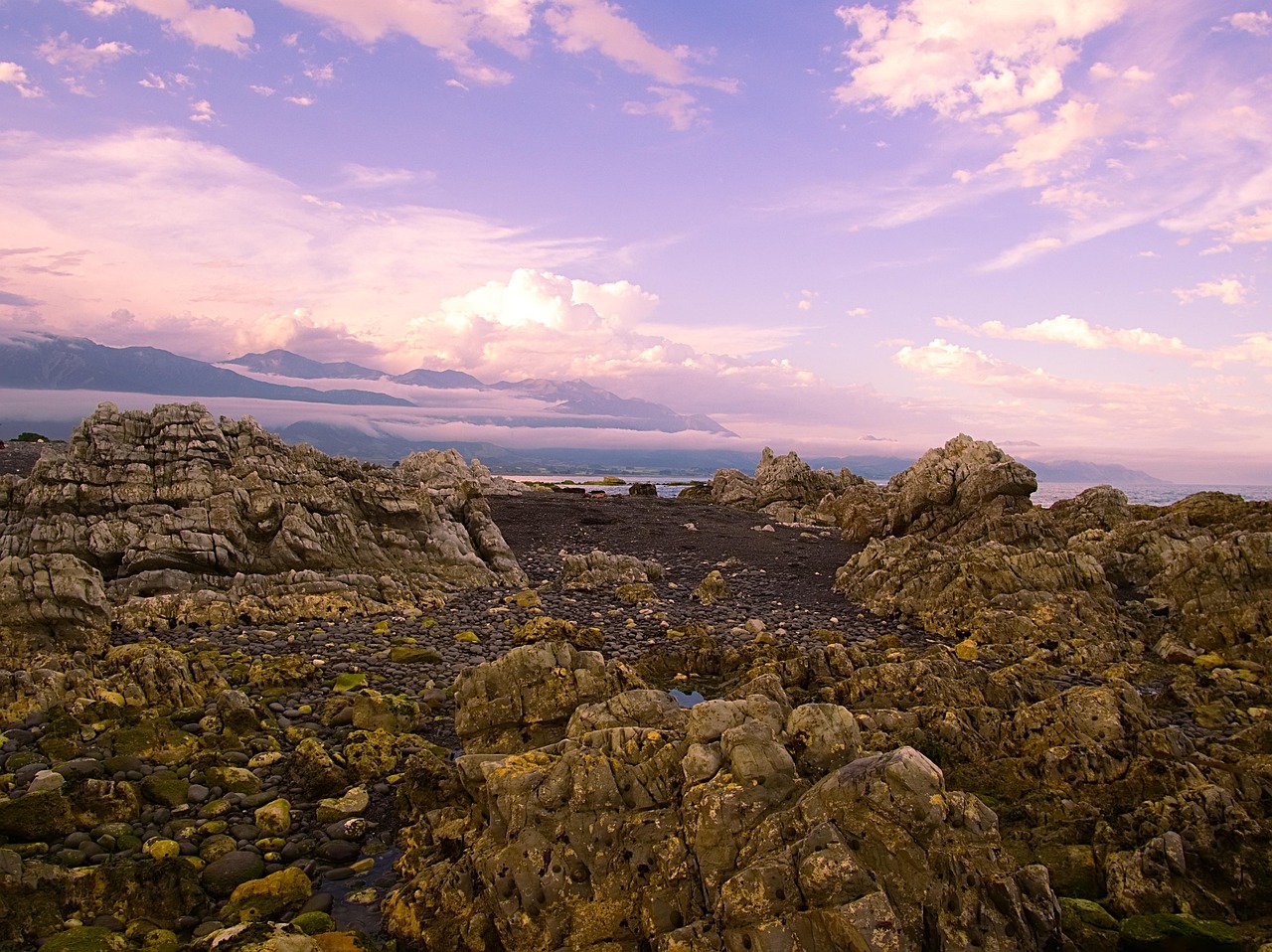天津海航城蓬勃發(fā)展，海洋經(jīng)濟新引擎動態(tài)更新