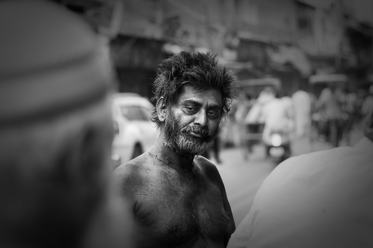 板芙純水岸最新動(dòng)態(tài)，引領(lǐng)城市生活新潮流前沿