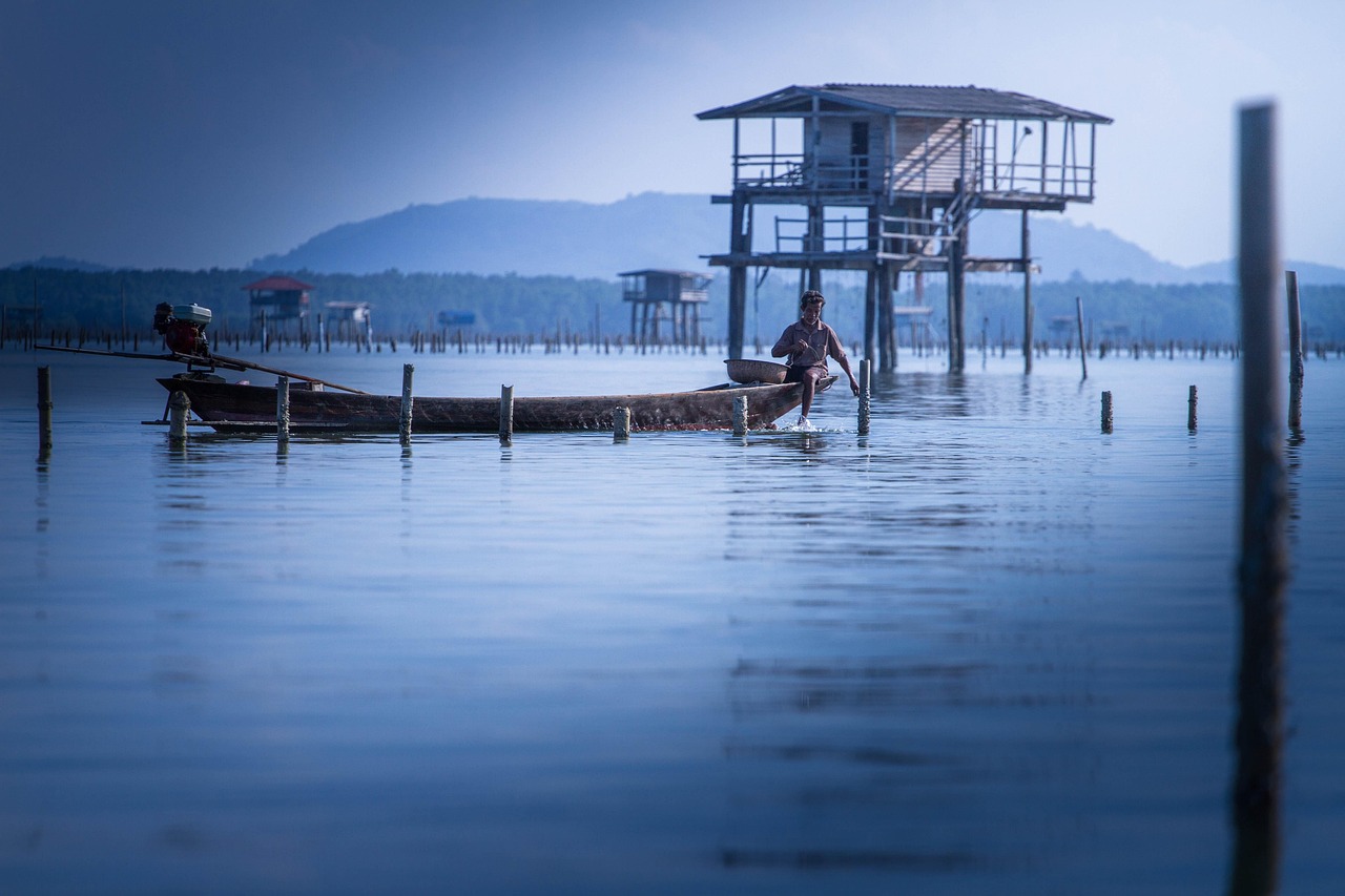 武漢天元最新垂釣視頻,探索垂釣的魅力與技巧全攻略
