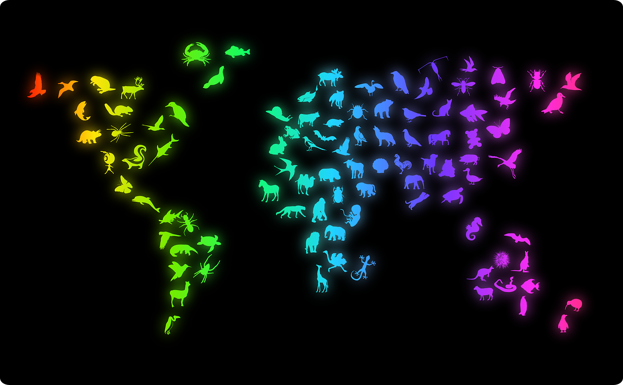 全國(guó)小演員,未來之星的光芒閃耀舞臺(tái)