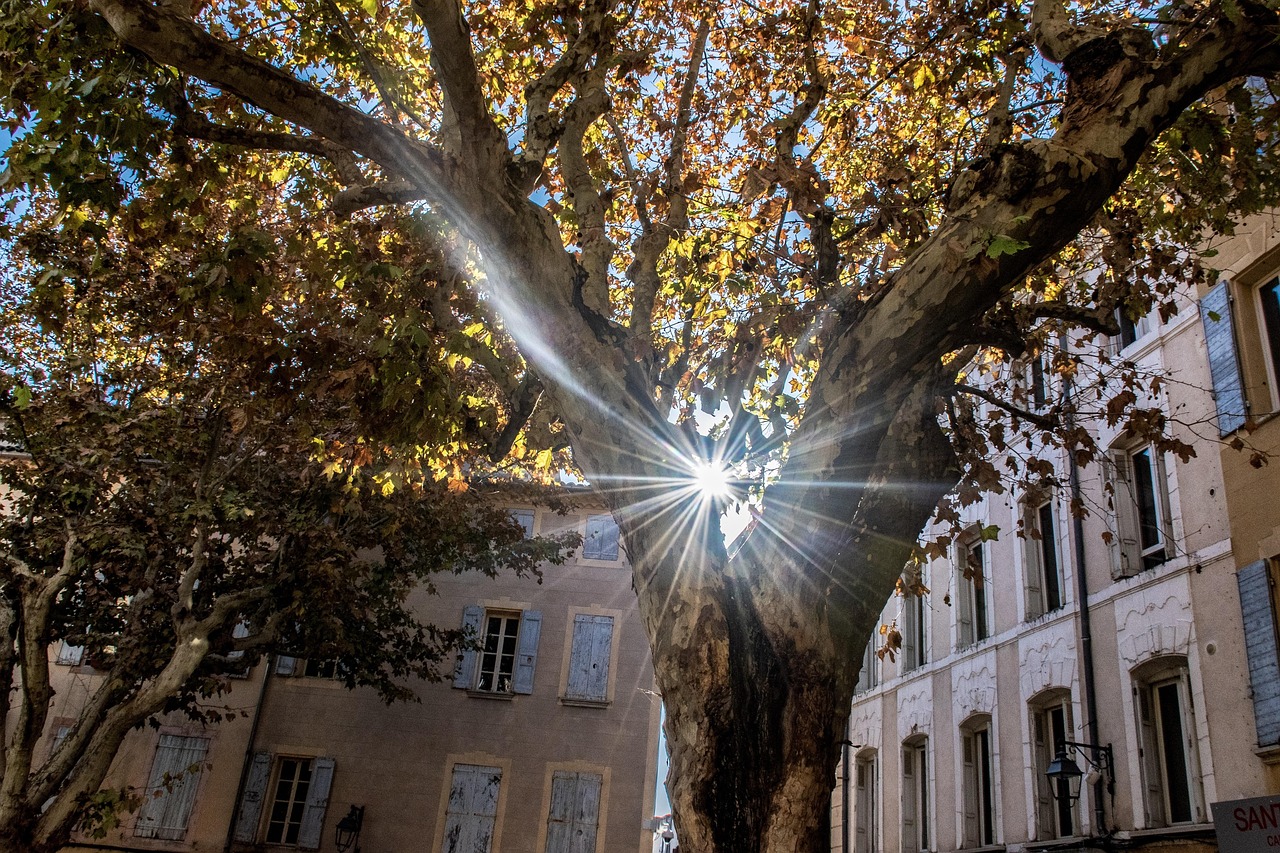 李思思最新動(dòng)態(tài)揭秘,多元領(lǐng)域的璀璨探索之星閃耀光芒