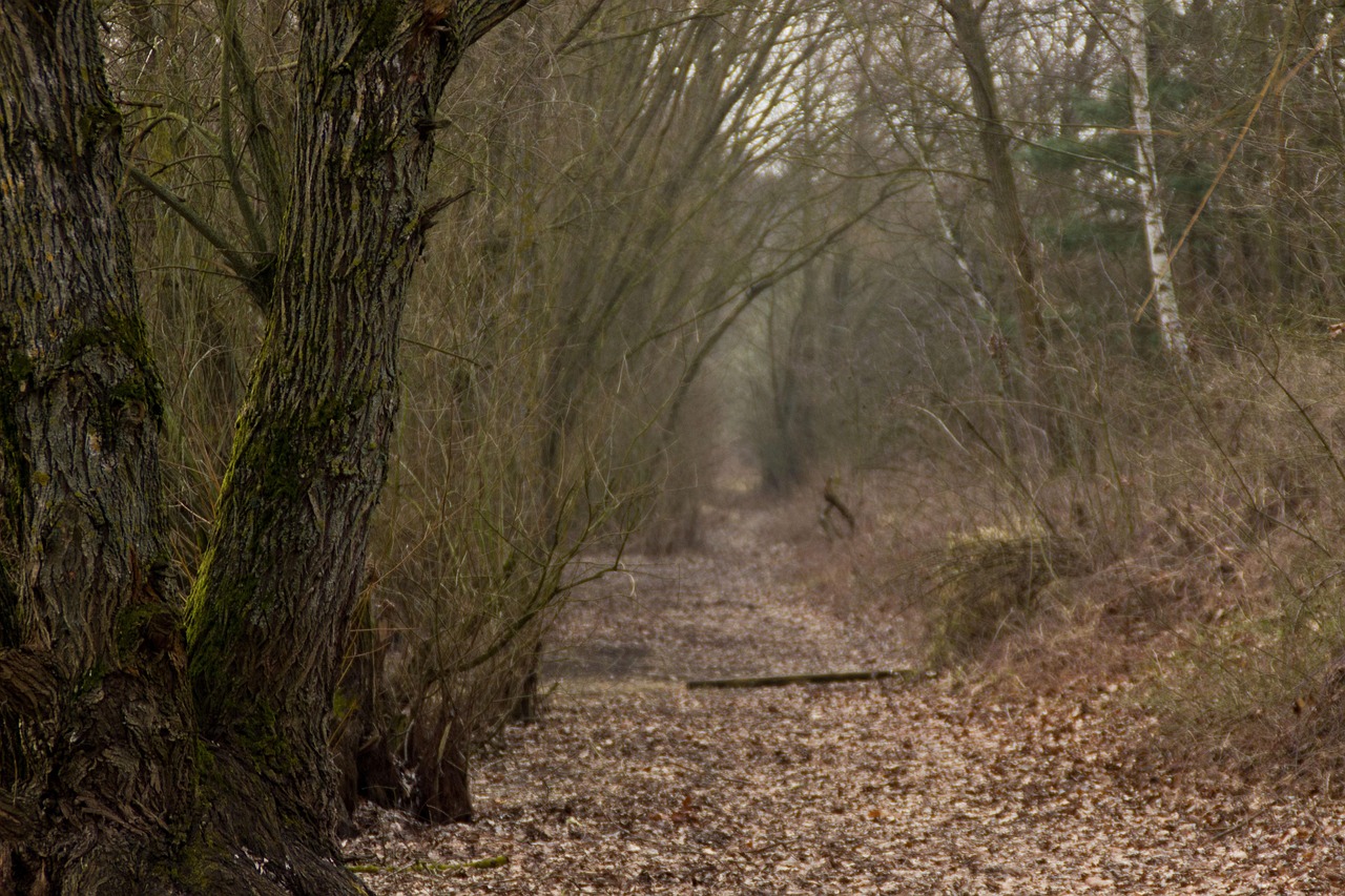 初遇在故事開頭 第27頁