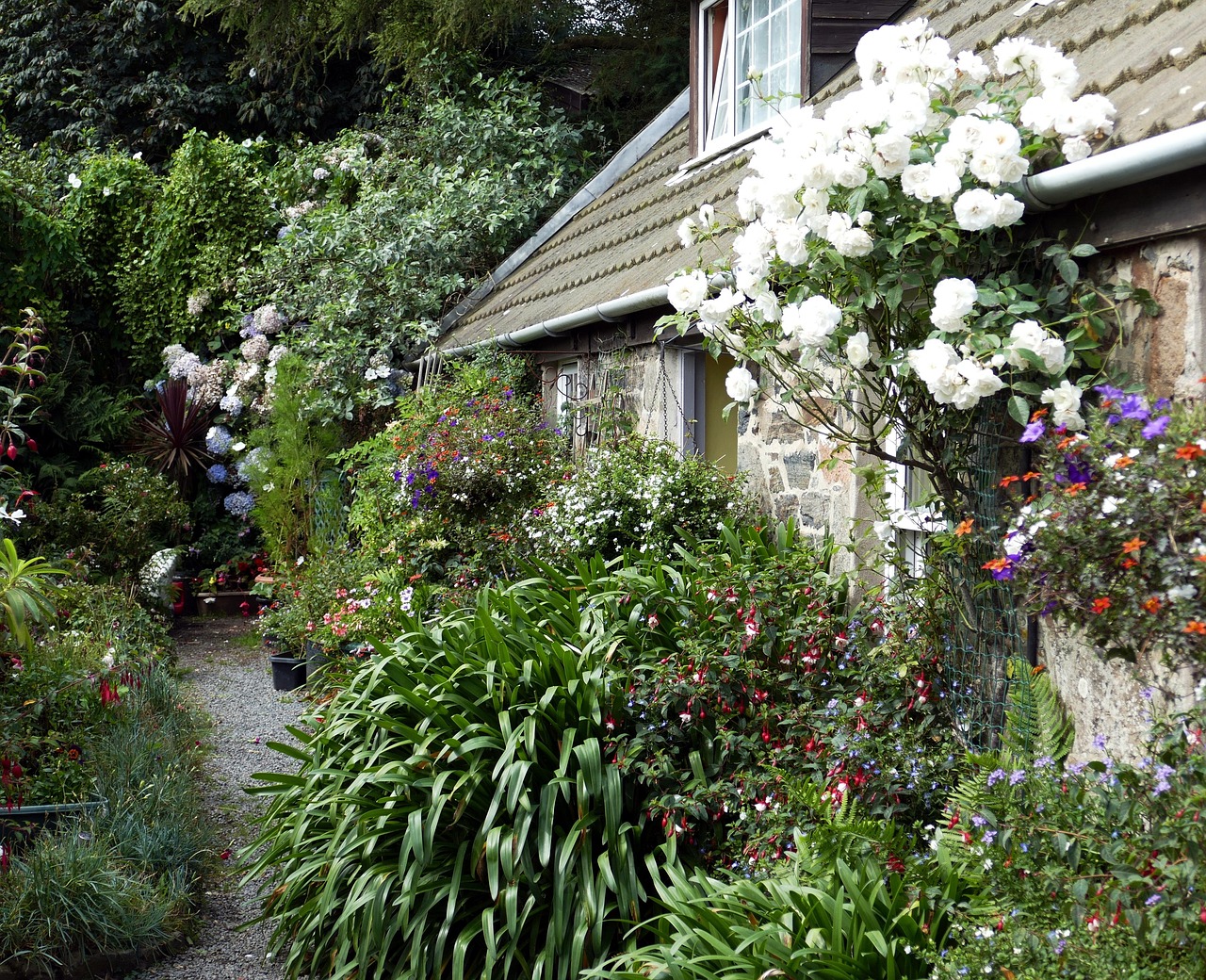 阜陽皇家花園最新動態(tài)更新