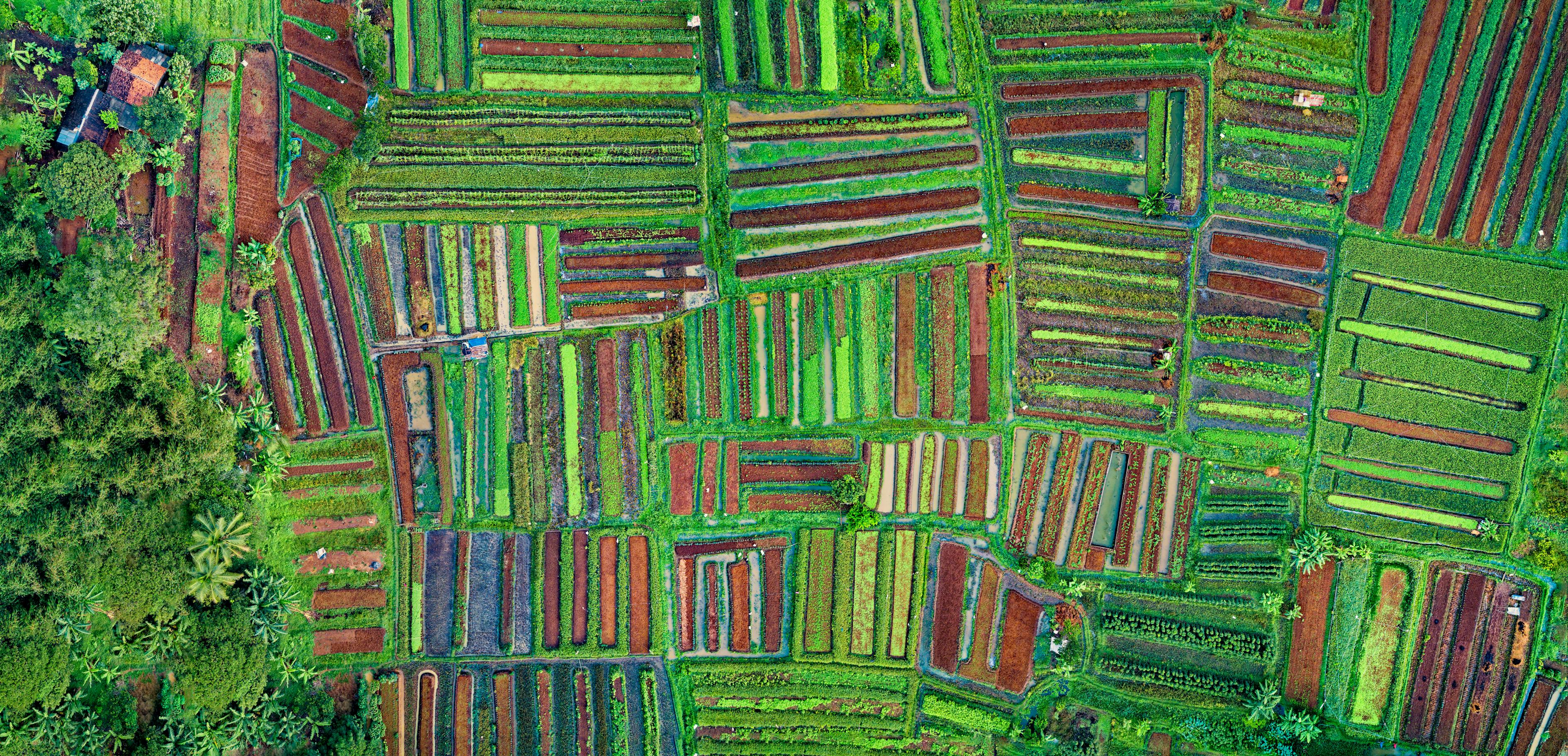 嘉都小區(qū)最新實(shí)拍照片，現(xiàn)代都市生活的縮影一瞥