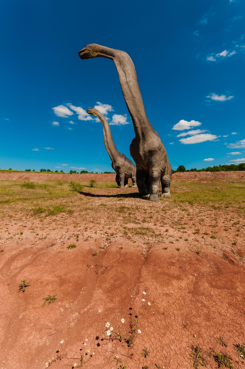 襄陽南北發(fā)展最新動態(tài),繁榮與活力的展現(xiàn)之旅