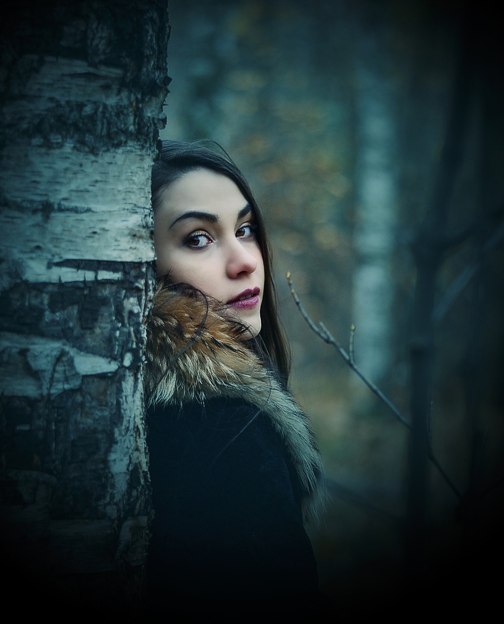 黑暗圣經(jīng)動漫的魅力與深度,在線觀看探索之旅