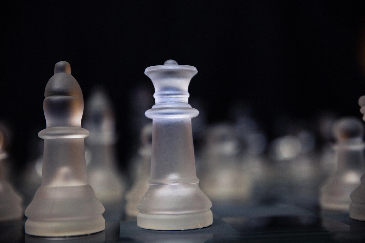 棗杠子酒價(jià)格深度解析，市場(chǎng)趨勢(shì)與影響因素探討