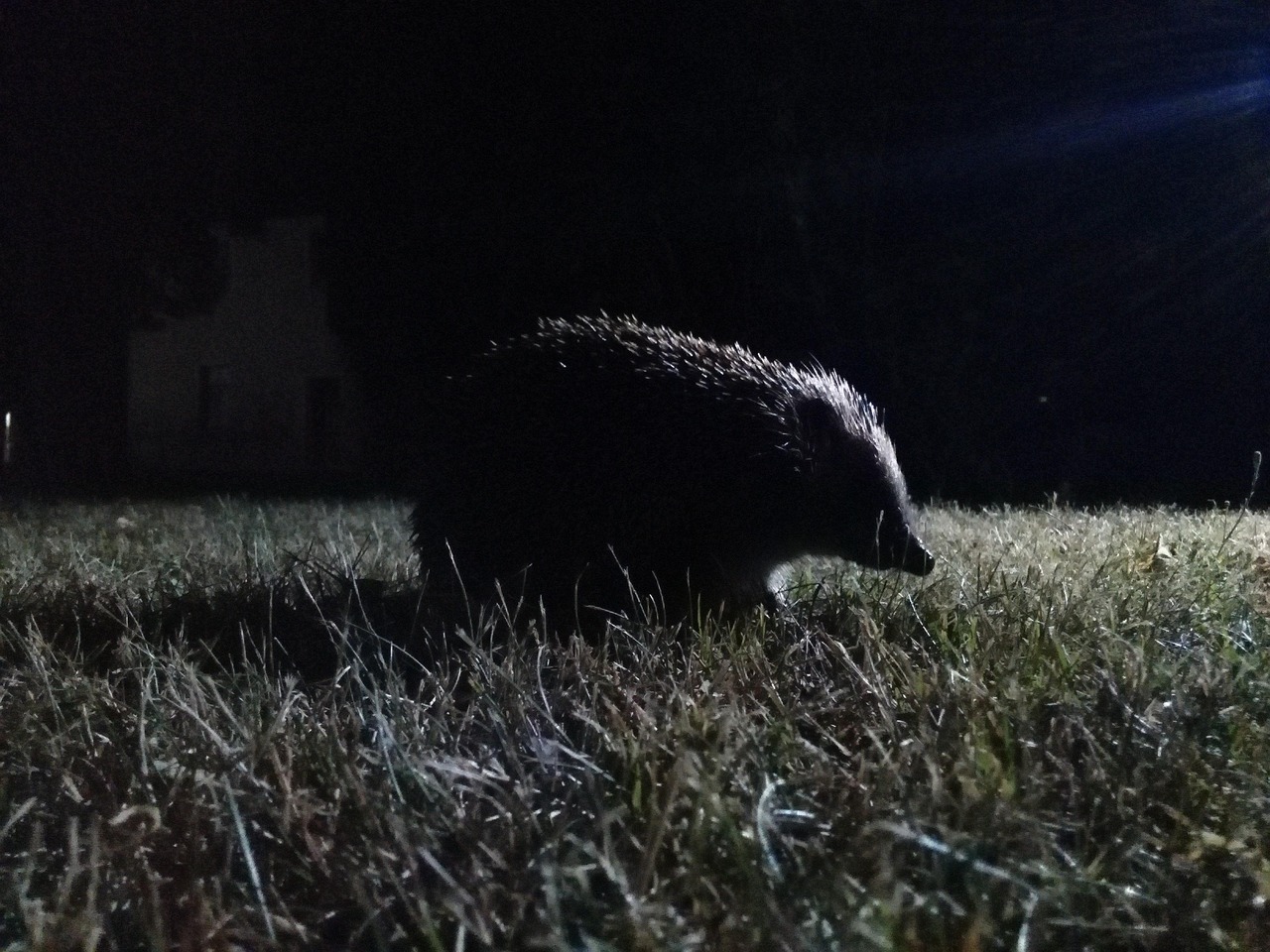 全球地震動(dòng)態(tài)更新,晚間最新地震消息及應(yīng)對(duì)指南