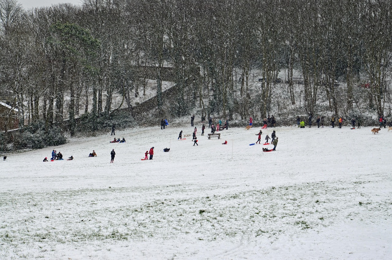 景寧疫情動(dòng)態(tài),堅(jiān)定信心,共抗疫情